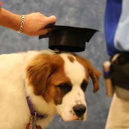 photograph by PeterW